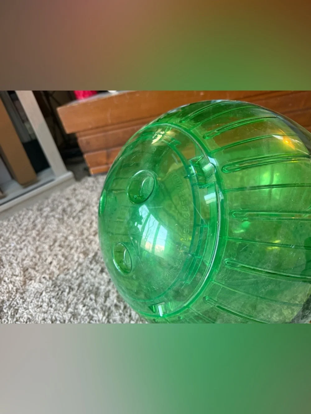 Green Transparent 12” Plastic rabbit-hedgehog-ferret-Guinea pig Exercise Ball